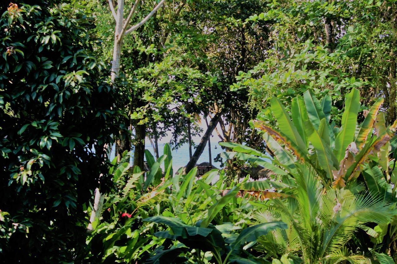 Casa Natural Puerto Viejo 호텔 Puerto Viejo de Talamanca 외부 사진