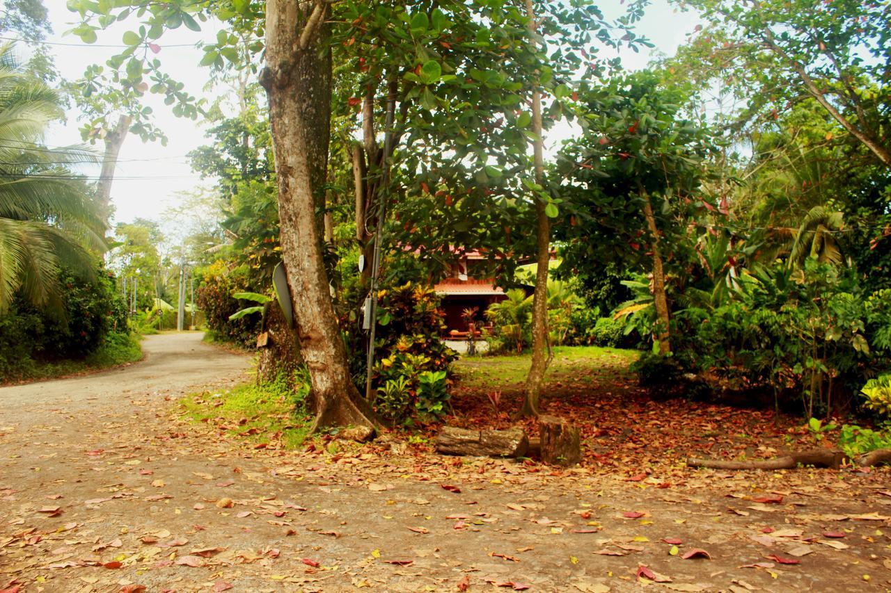 Casa Natural Puerto Viejo 호텔 Puerto Viejo de Talamanca 외부 사진